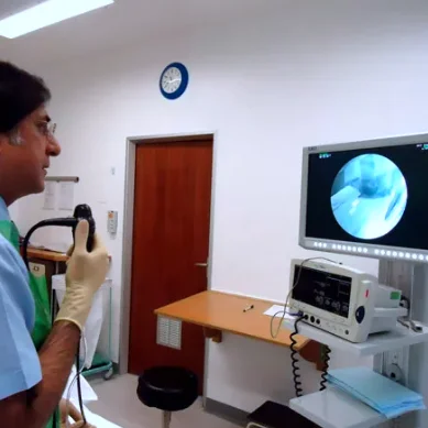 Ureteroscopy Service